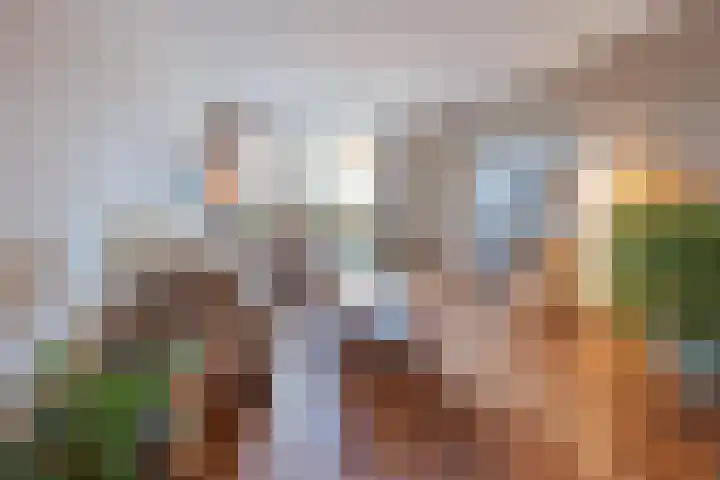 Stuksbeemden 75 Horst thumbnail 4