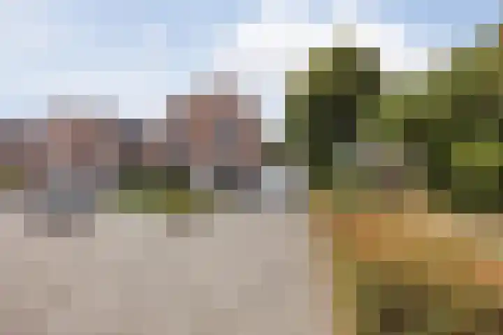 Stuksbeemden 75 Horst thumbnail 40