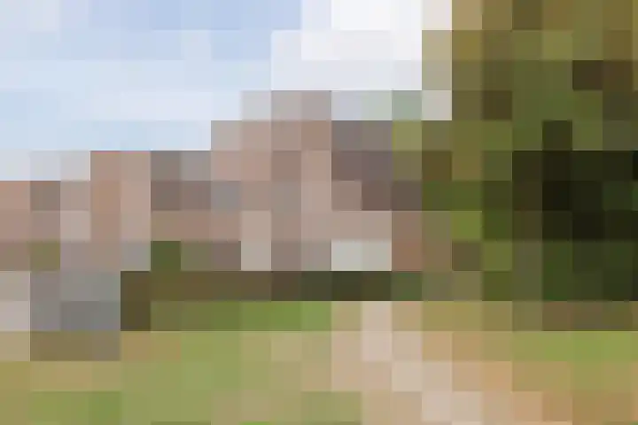 Stuksbeemden 75 Horst thumbnail 43