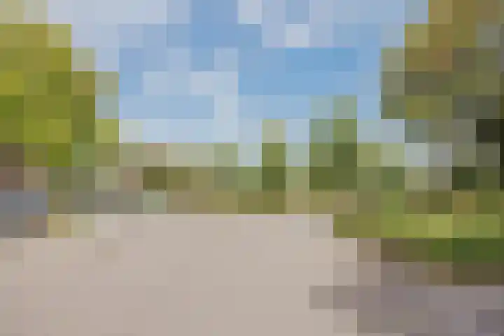 Stuksbeemden 75 Horst thumbnail 45