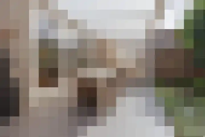 Stuksbeemden 75 Horst thumbnail 6