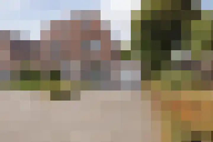 Stuksbeemden 75 Horst thumbnail 7