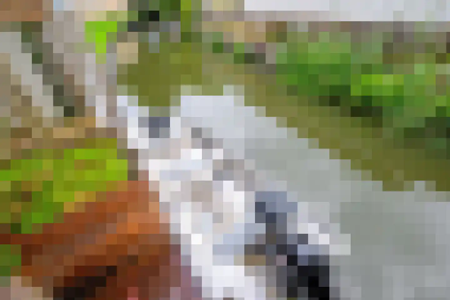 Stullenbaan 1 Enkhuizen thumbnail 11