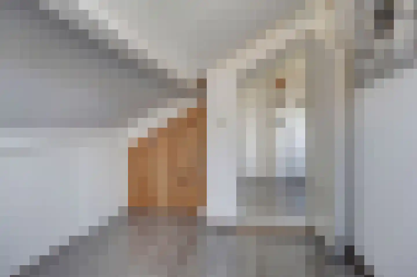 Stullenbaan 30 Enkhuizen thumbnail 42