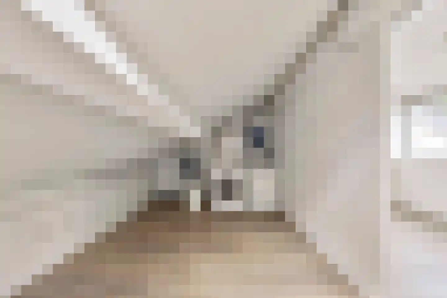 Stulp 12 Huissen thumbnail 22