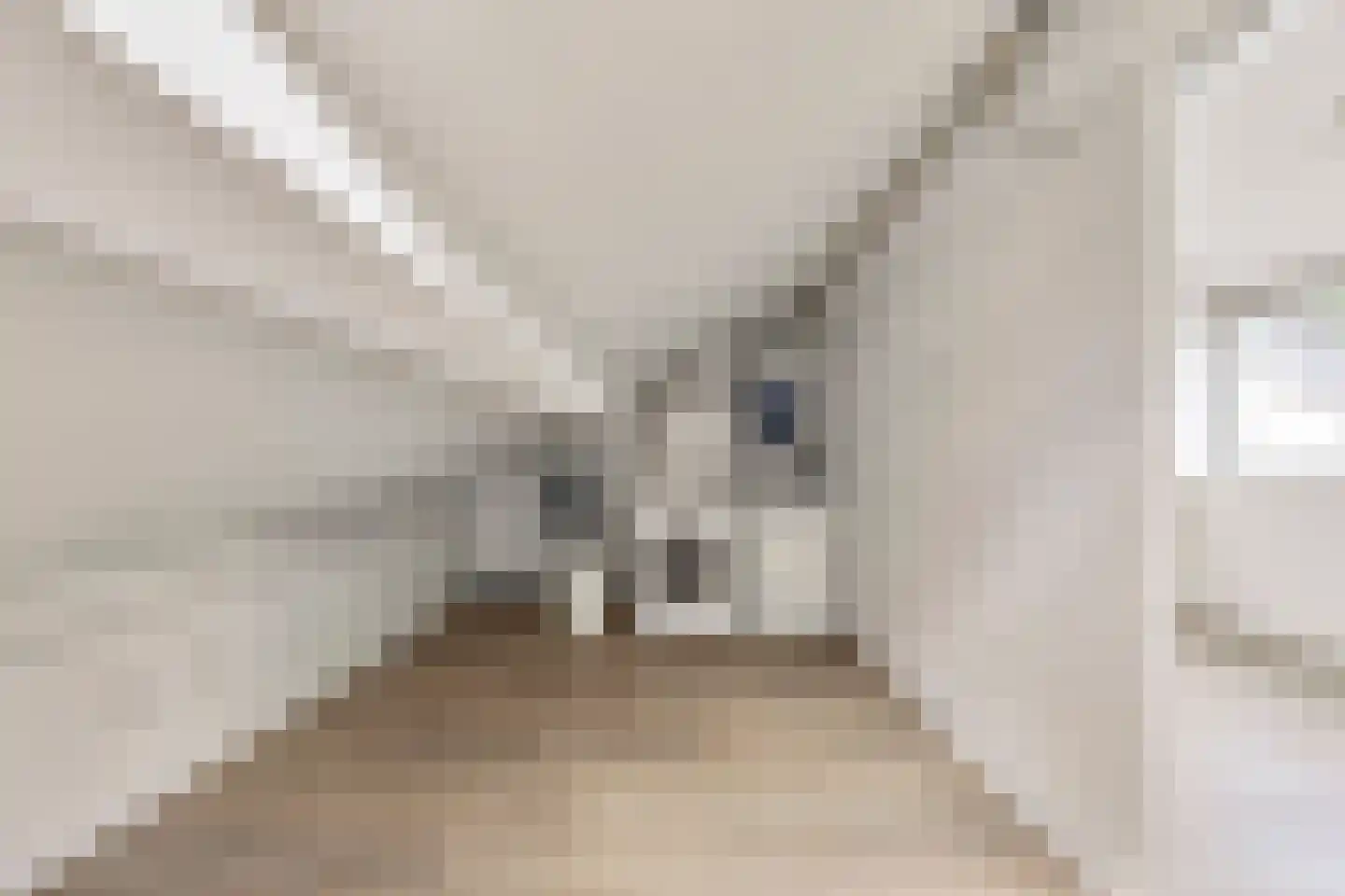Stulp 12 Huissen thumbnail 24