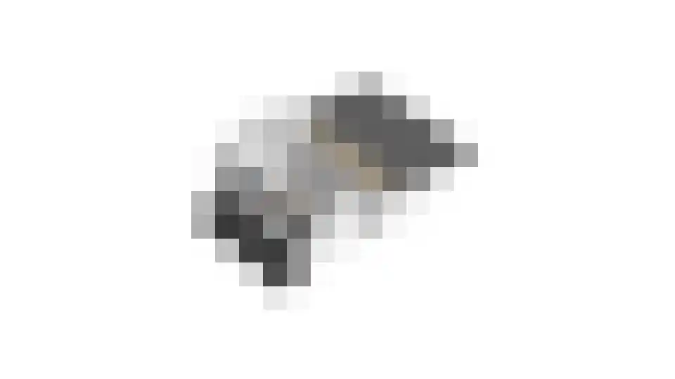 Stulp 12 Huissen thumbnail 44