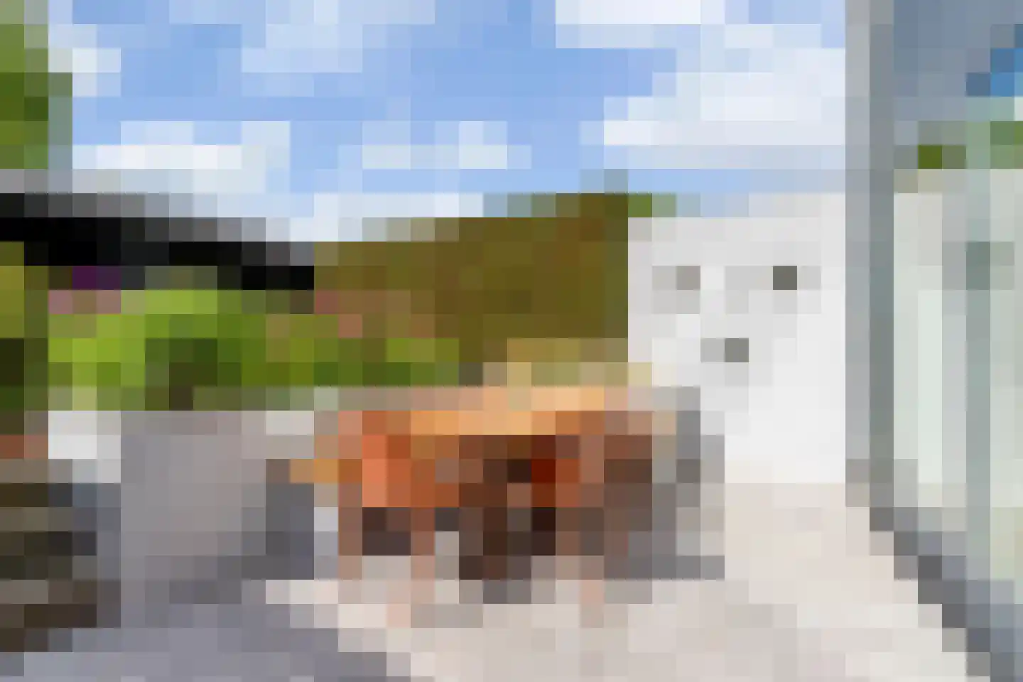 Stulp 12 Huissen thumbnail 7