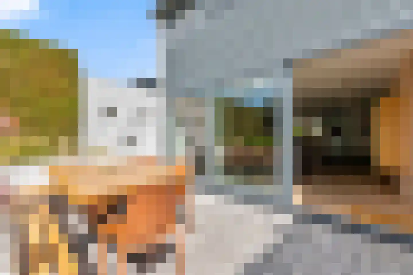 Stulp 12 Huissen thumbnail 8