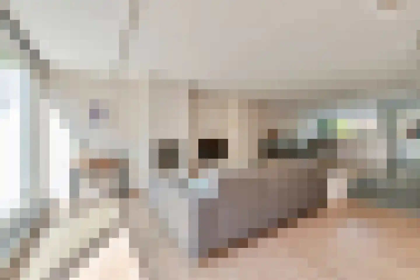 Stulp 12 Huissen thumbnail 9