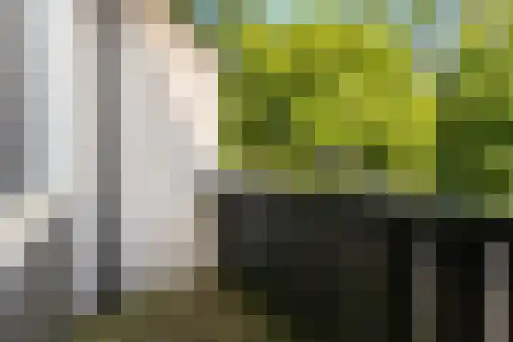 Stulp 2 Huissen thumbnail 17