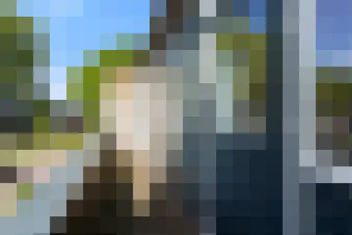 Stulp 2 Huissen thumbnail 18