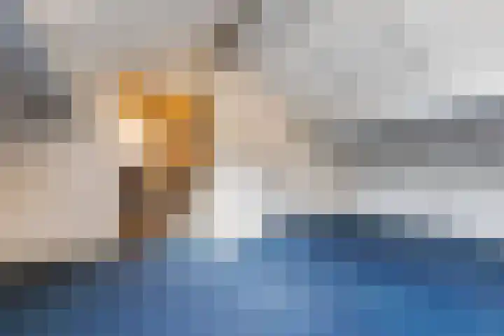 Stulp 2 Huissen thumbnail 24