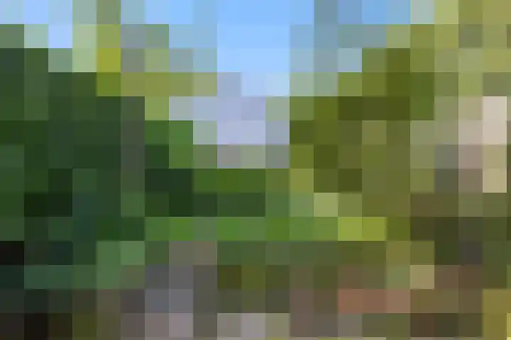 Stulp 2 Huissen thumbnail 28