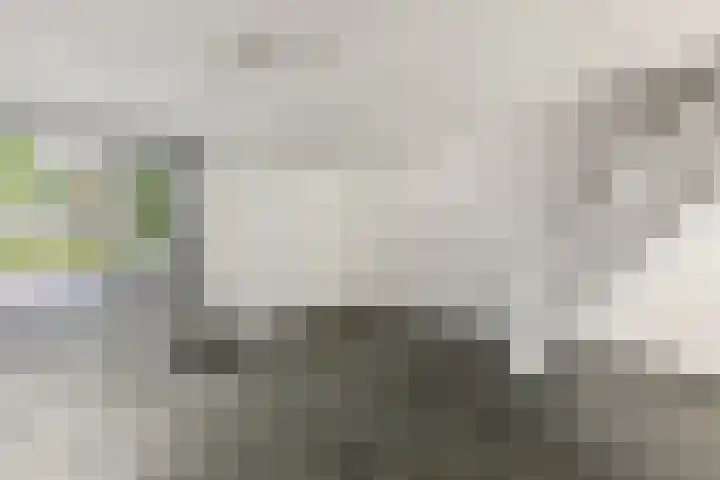 Stulp 2 Huissen thumbnail 7