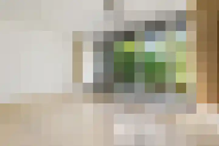 Stulp 2 Huissen thumbnail 9