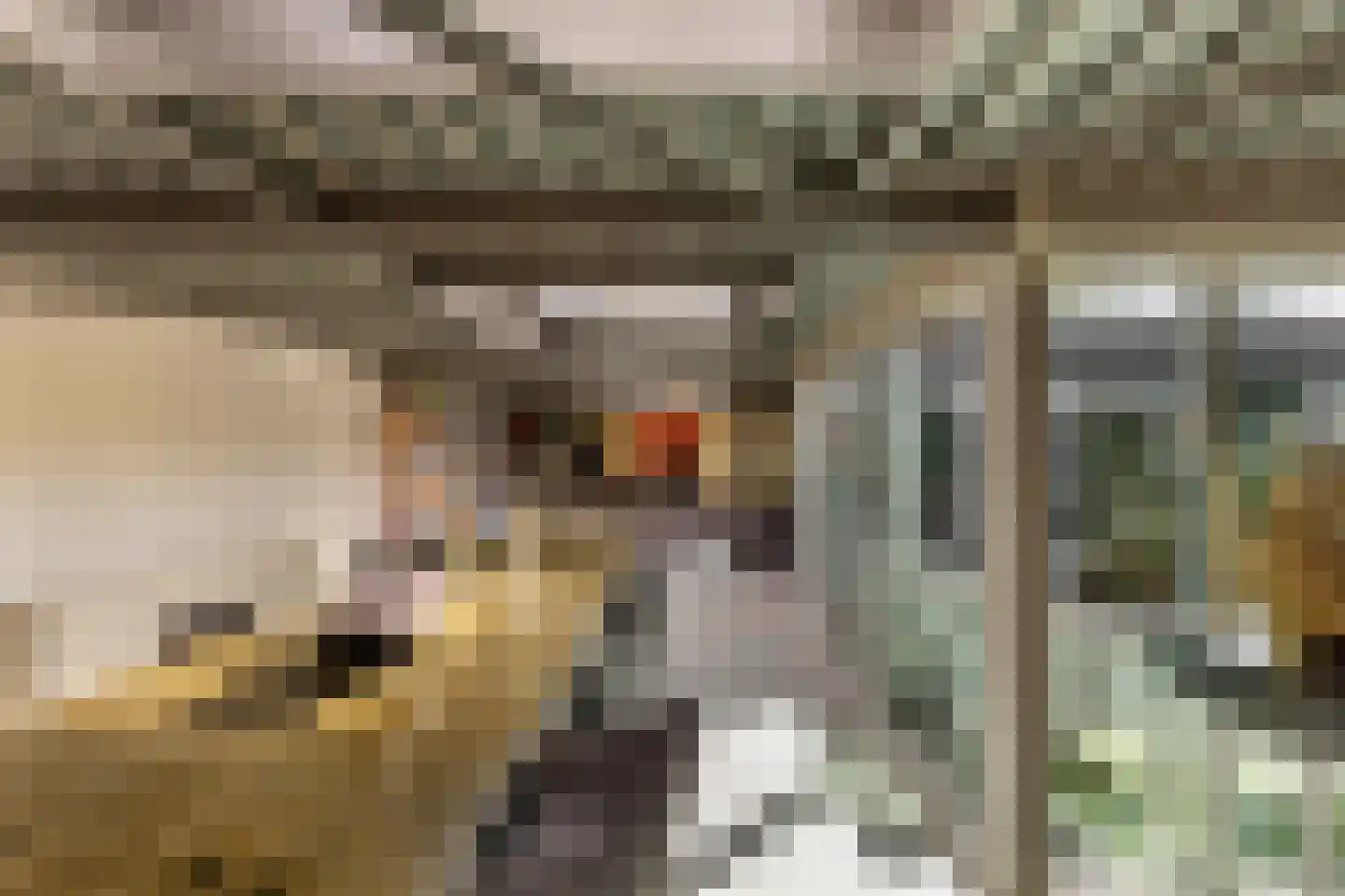 Stumphiusstraat 41 A Beverwijk thumbnail 13