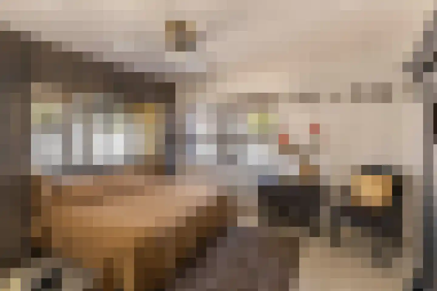 Stumphiusstraat 41 A Beverwijk thumbnail 31