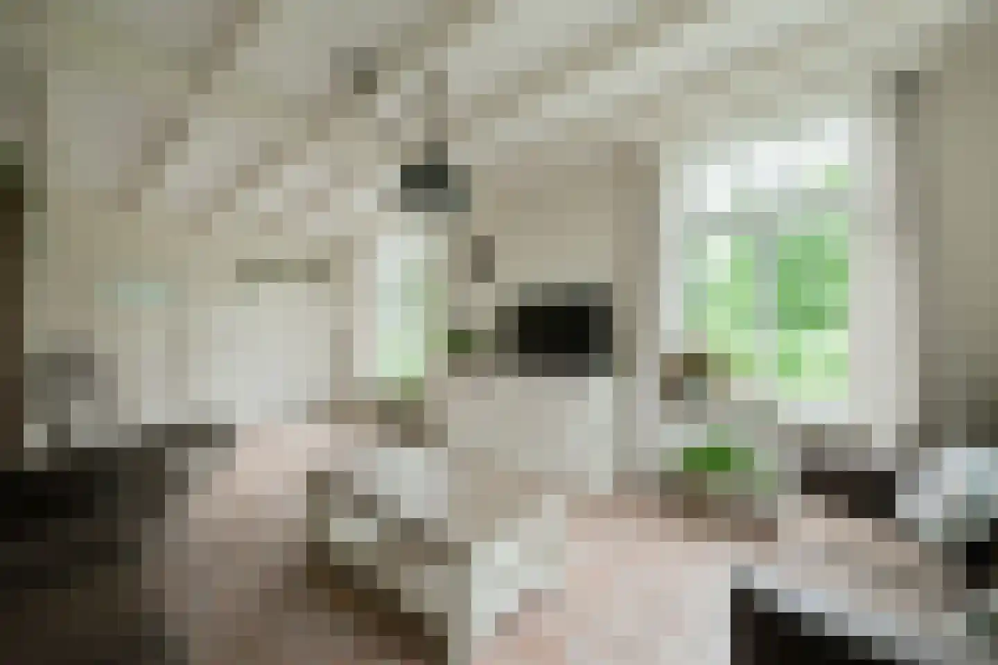 Sturrisdijk 1 Aalten thumbnail 15