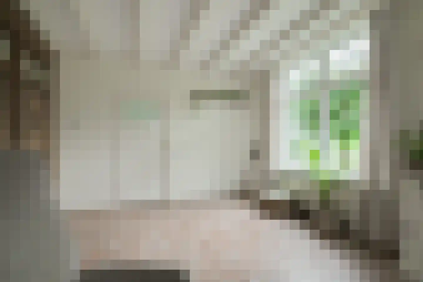 Sturrisdijk 1 Aalten thumbnail 16