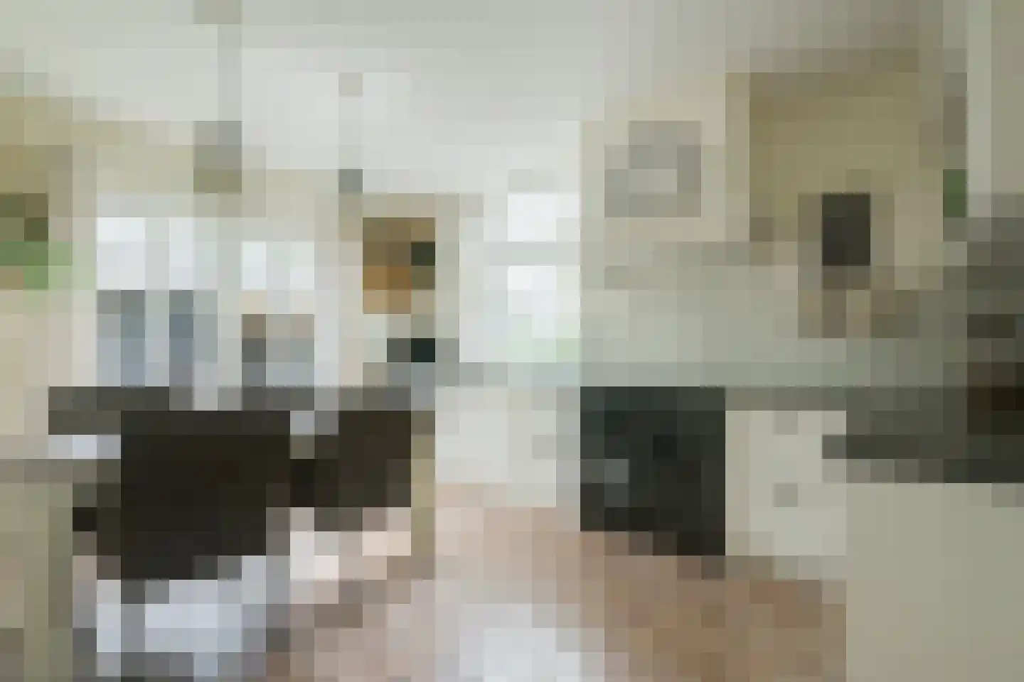 Sturrisdijk 1 Aalten thumbnail 17