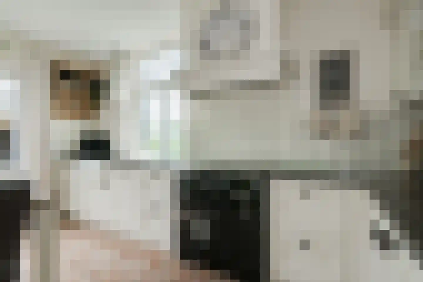 Sturrisdijk 1 Aalten thumbnail 18