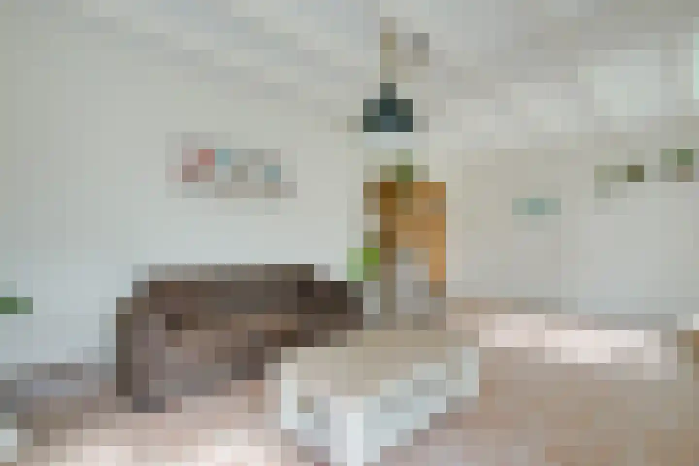 Sturrisdijk 1 Aalten thumbnail 19