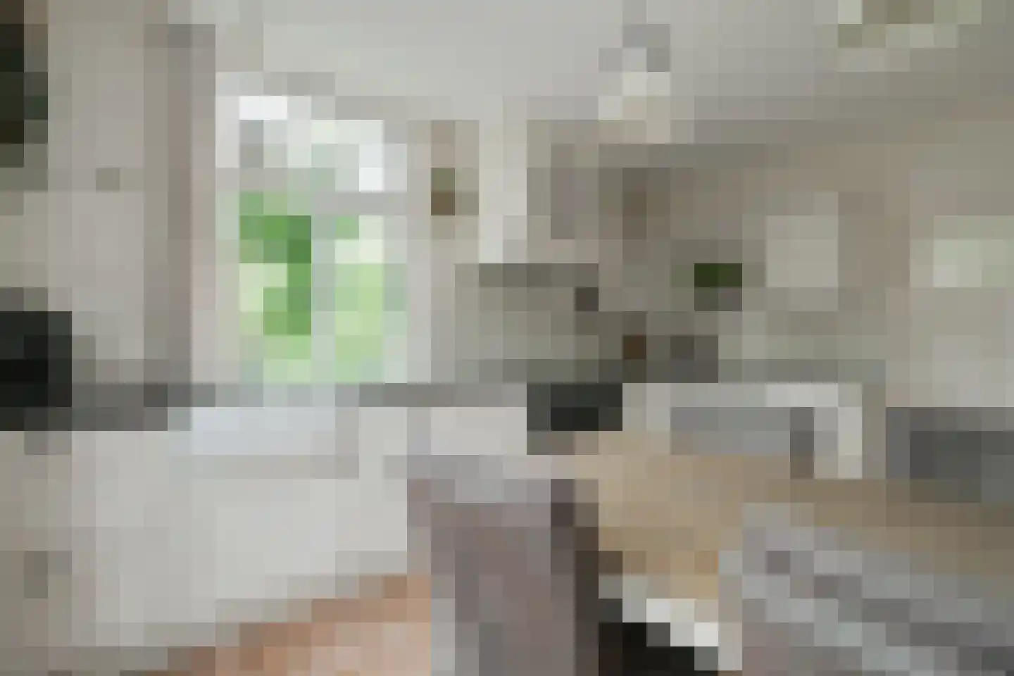 Sturrisdijk 1 Aalten thumbnail 21