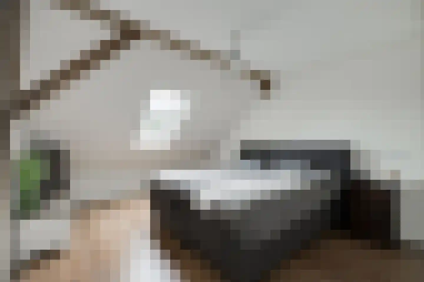 Sturrisdijk 1 Aalten thumbnail 32