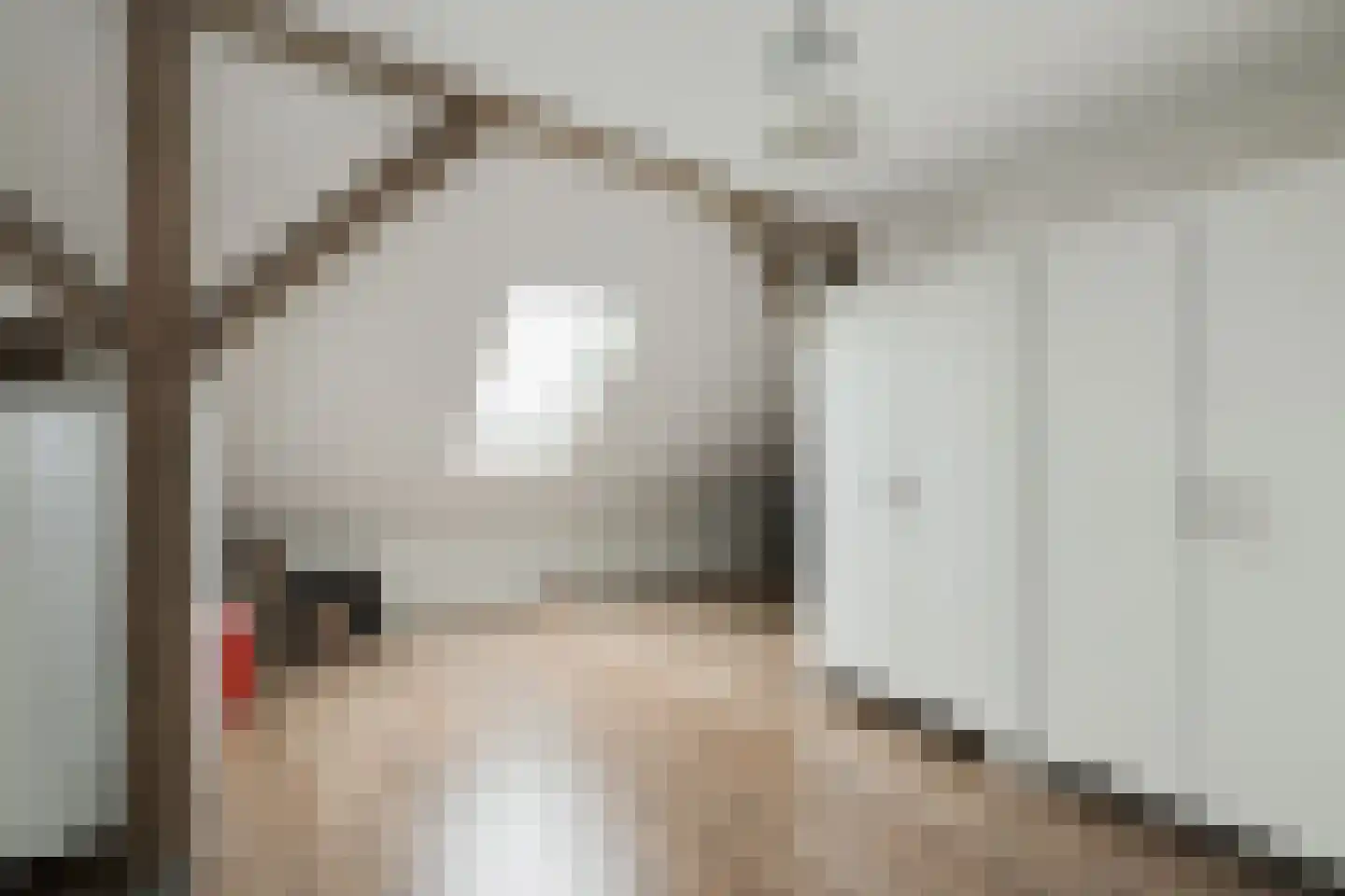Sturrisdijk 1 Aalten thumbnail 34