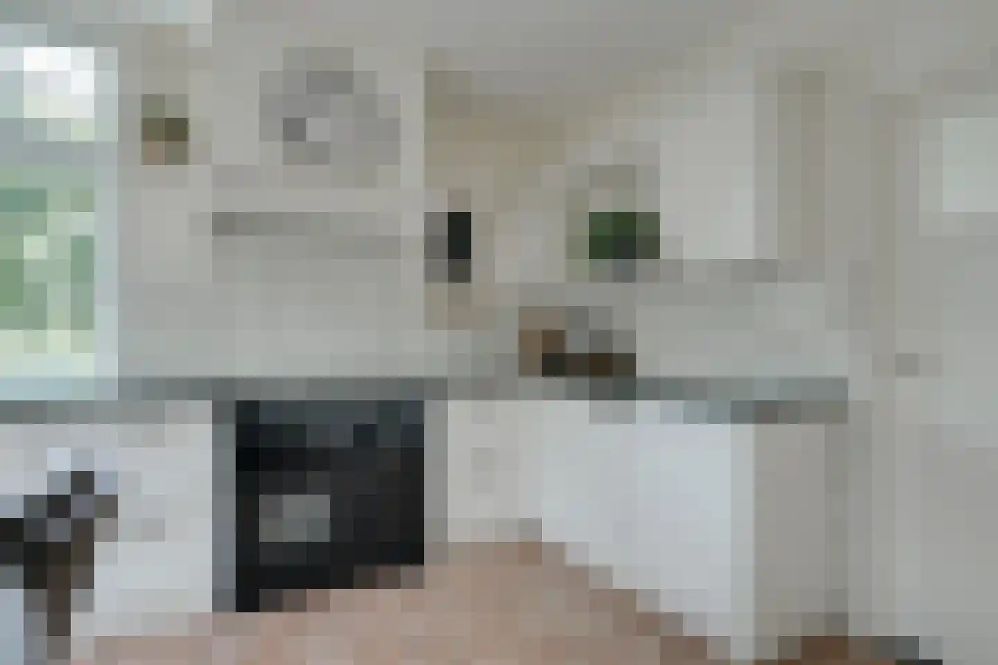 Sturrisdijk 1 Aalten thumbnail 4