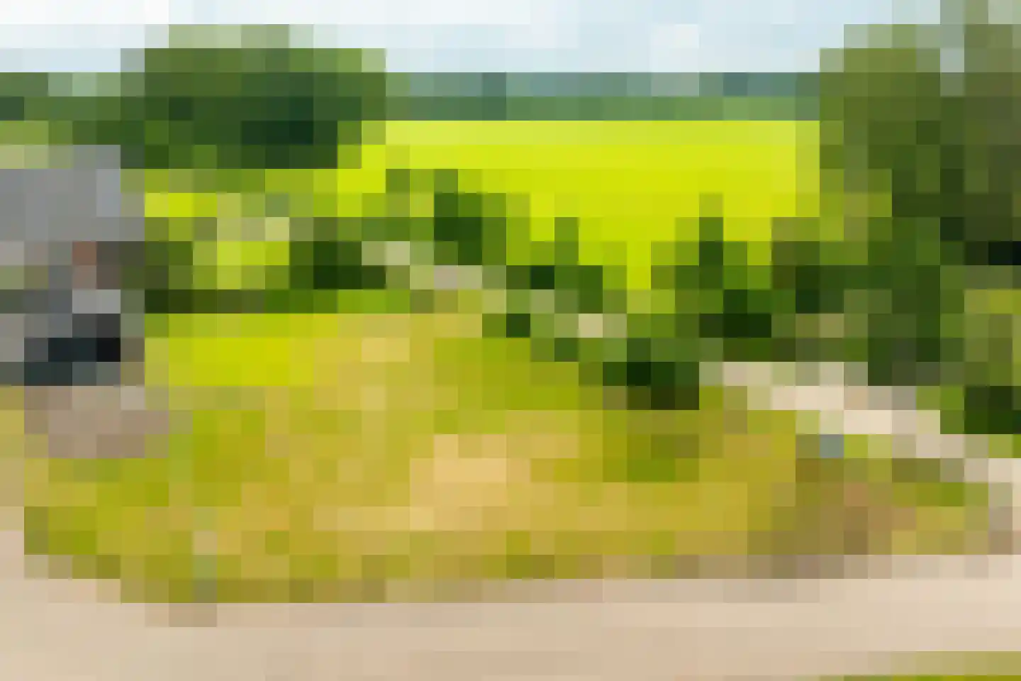 Sturrisdijk 1 Aalten thumbnail 46