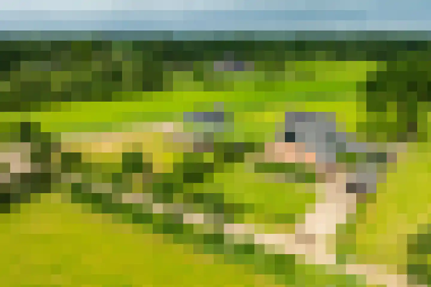 Sturrisdijk 1 Aalten thumbnail 47
