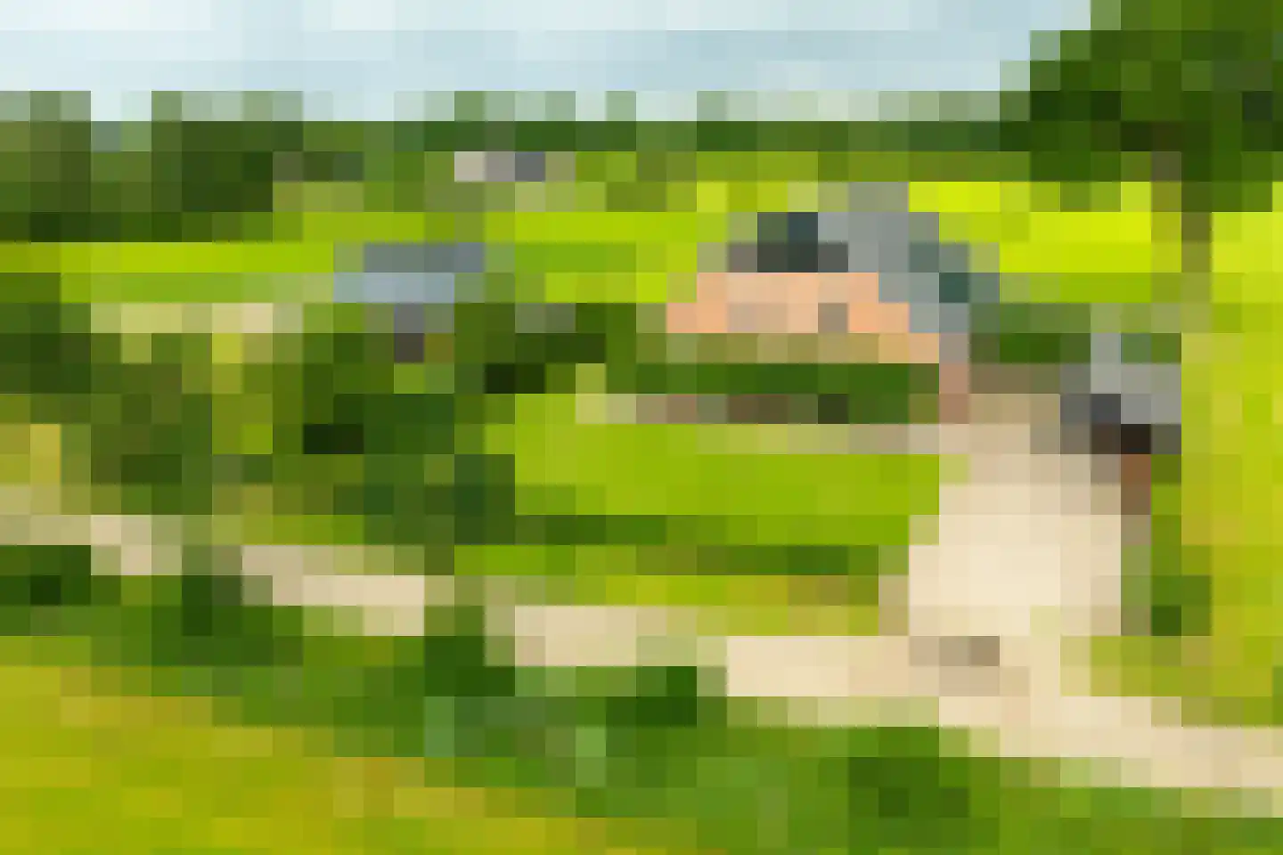 Sturrisdijk 1 Aalten thumbnail 48