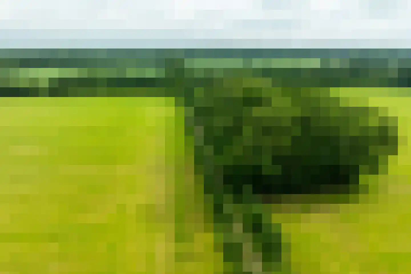 Sturrisdijk 1 Aalten thumbnail 49