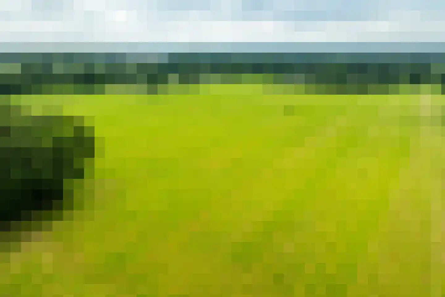 Sturrisdijk 1 Aalten thumbnail 50
