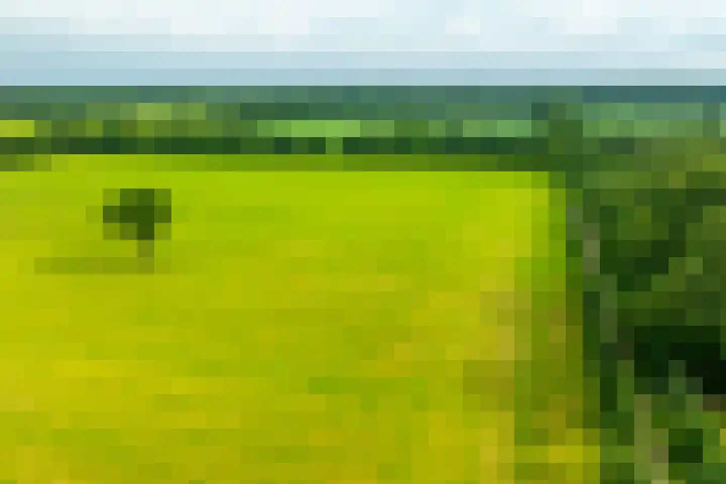 Sturrisdijk 1 Aalten thumbnail 53