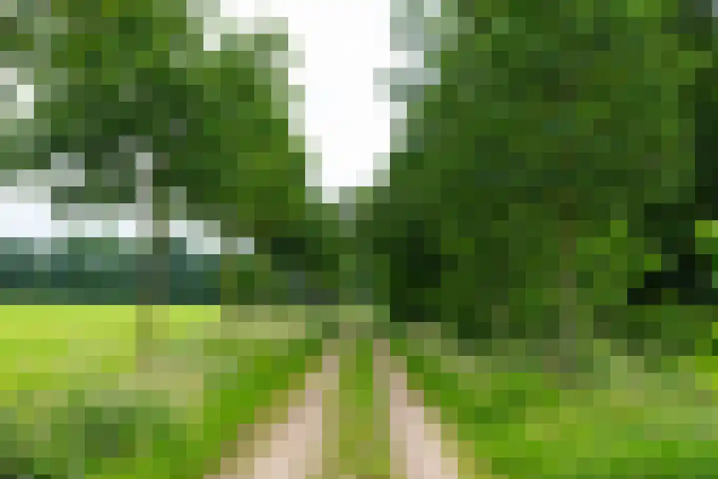Sturrisdijk 1 Aalten thumbnail 54