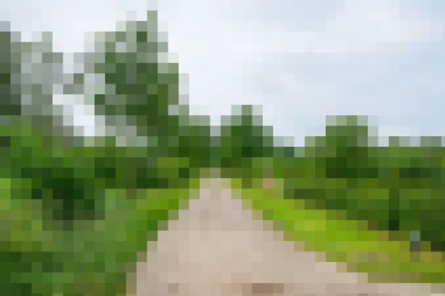 Sturrisdijk 1 Aalten thumbnail 55