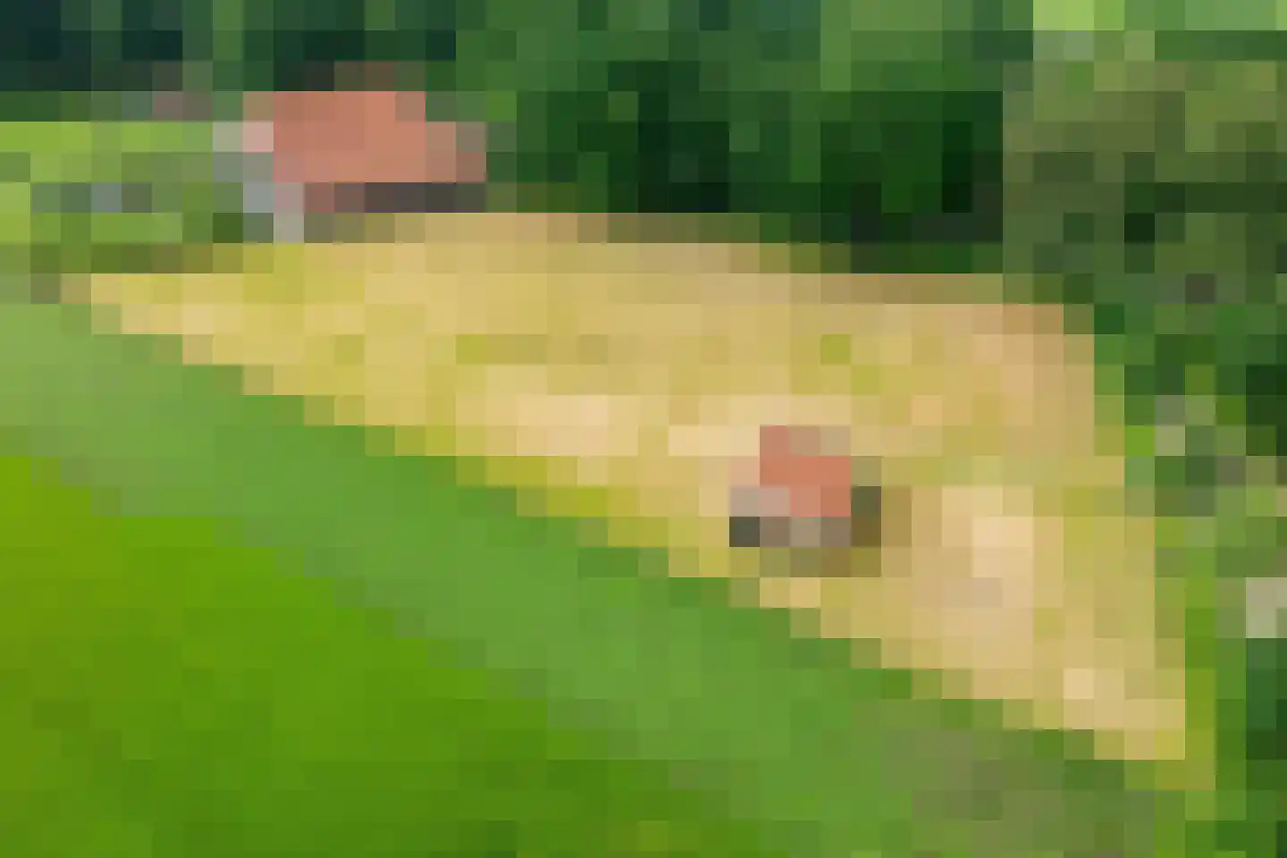 Sturrisdijk 1 Aalten thumbnail 6
