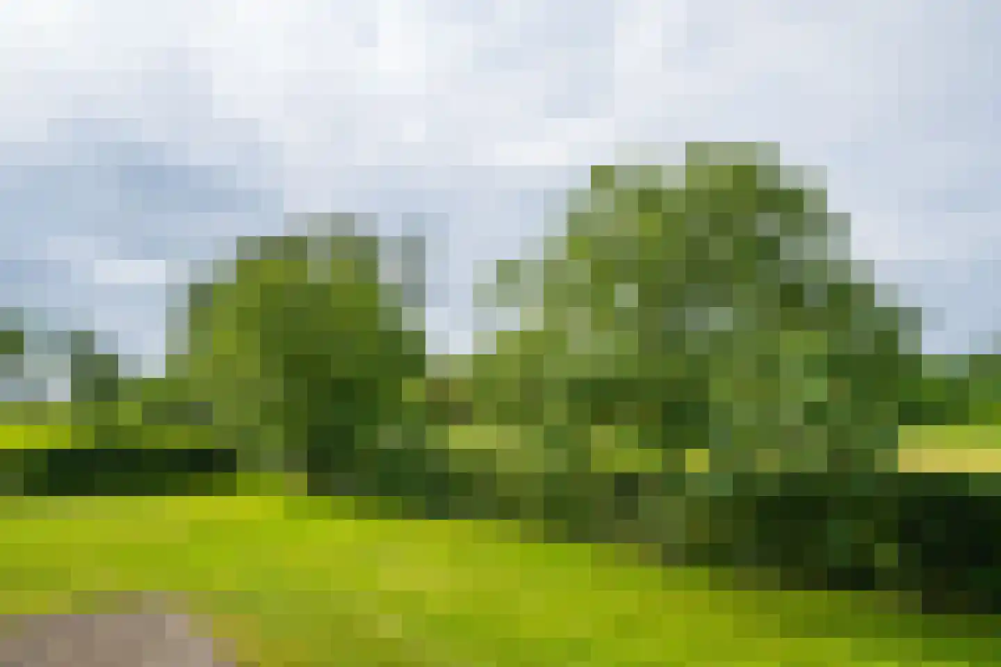 Sturrisdijk 1 Aalten thumbnail 68