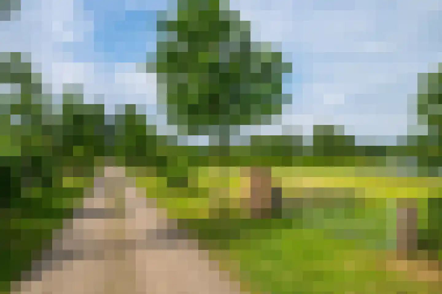 Sturrisdijk 1 Aalten thumbnail 69