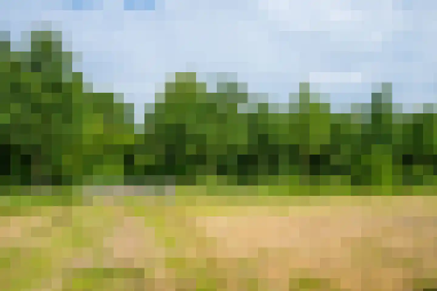 Sturrisdijk 1 Aalten thumbnail 78