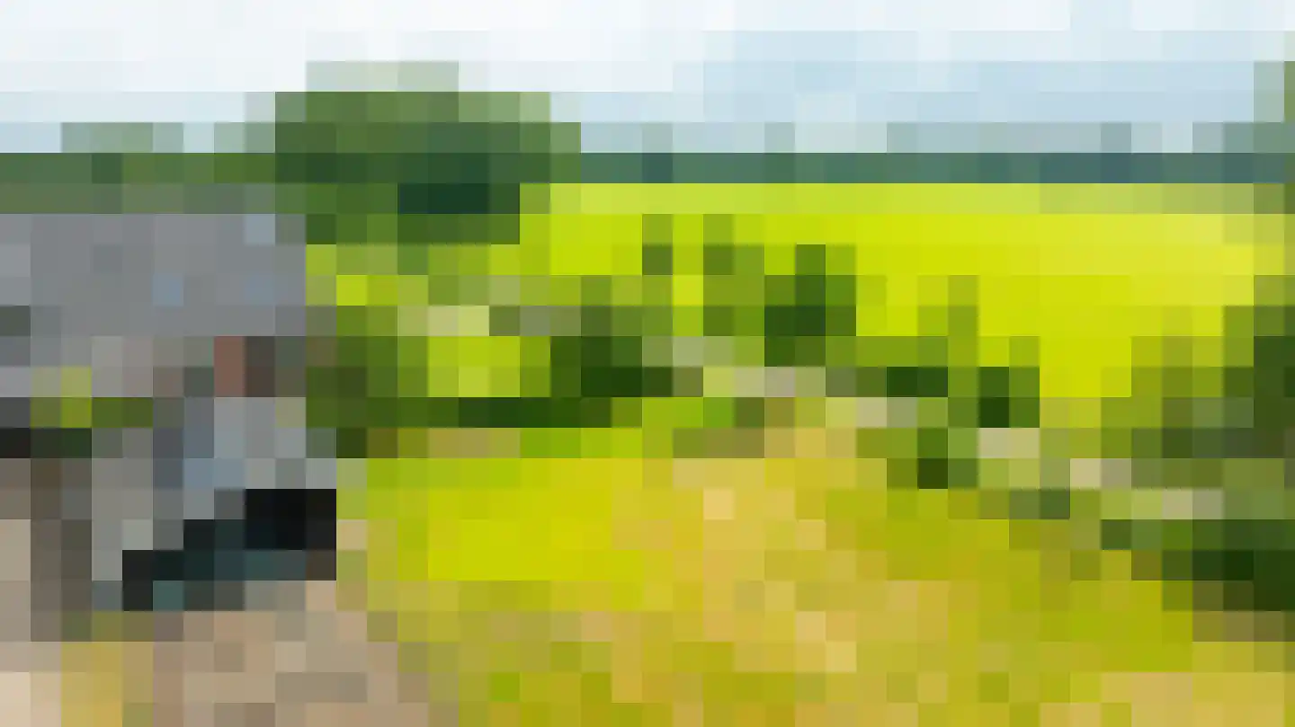 Sturrisdijk 1 Aalten thumbnail 8