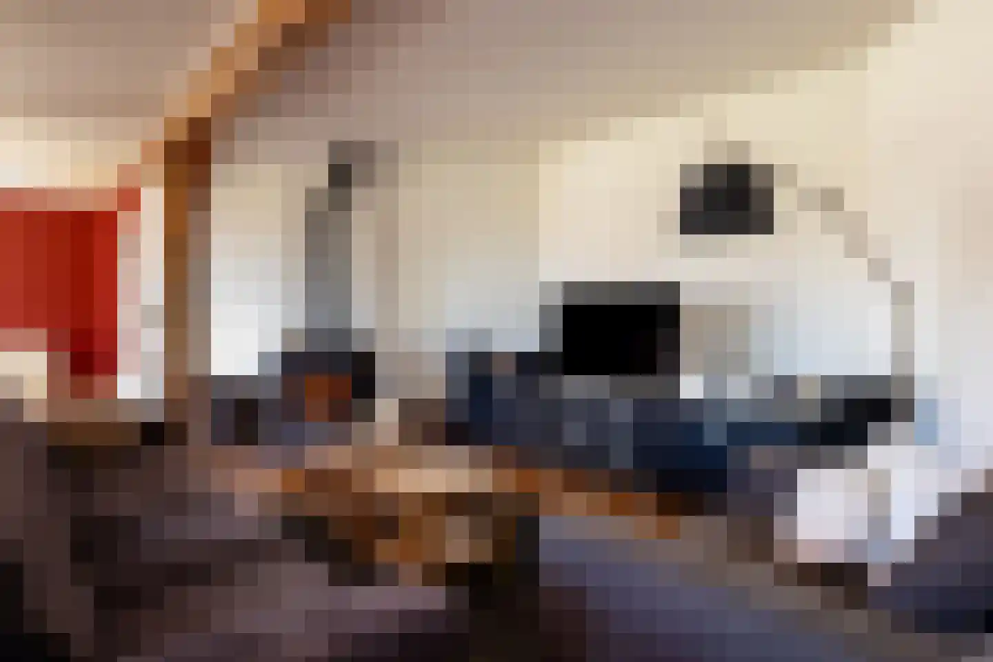 Sturriskolkweg 16 Varsseveld thumbnail 11