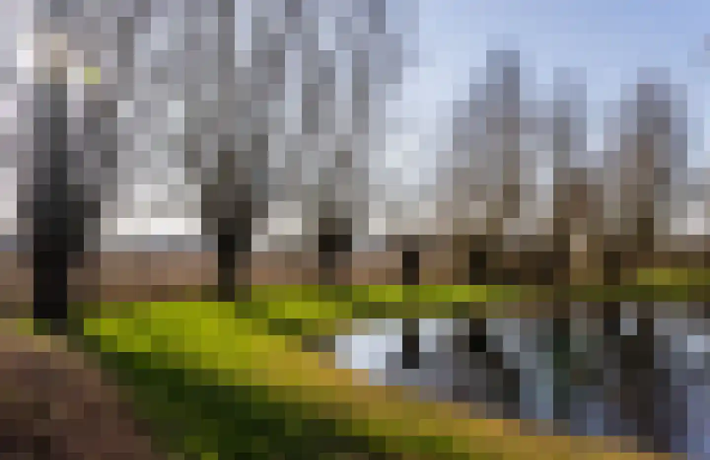 Sturriskolkweg 16 Varsseveld thumbnail 39