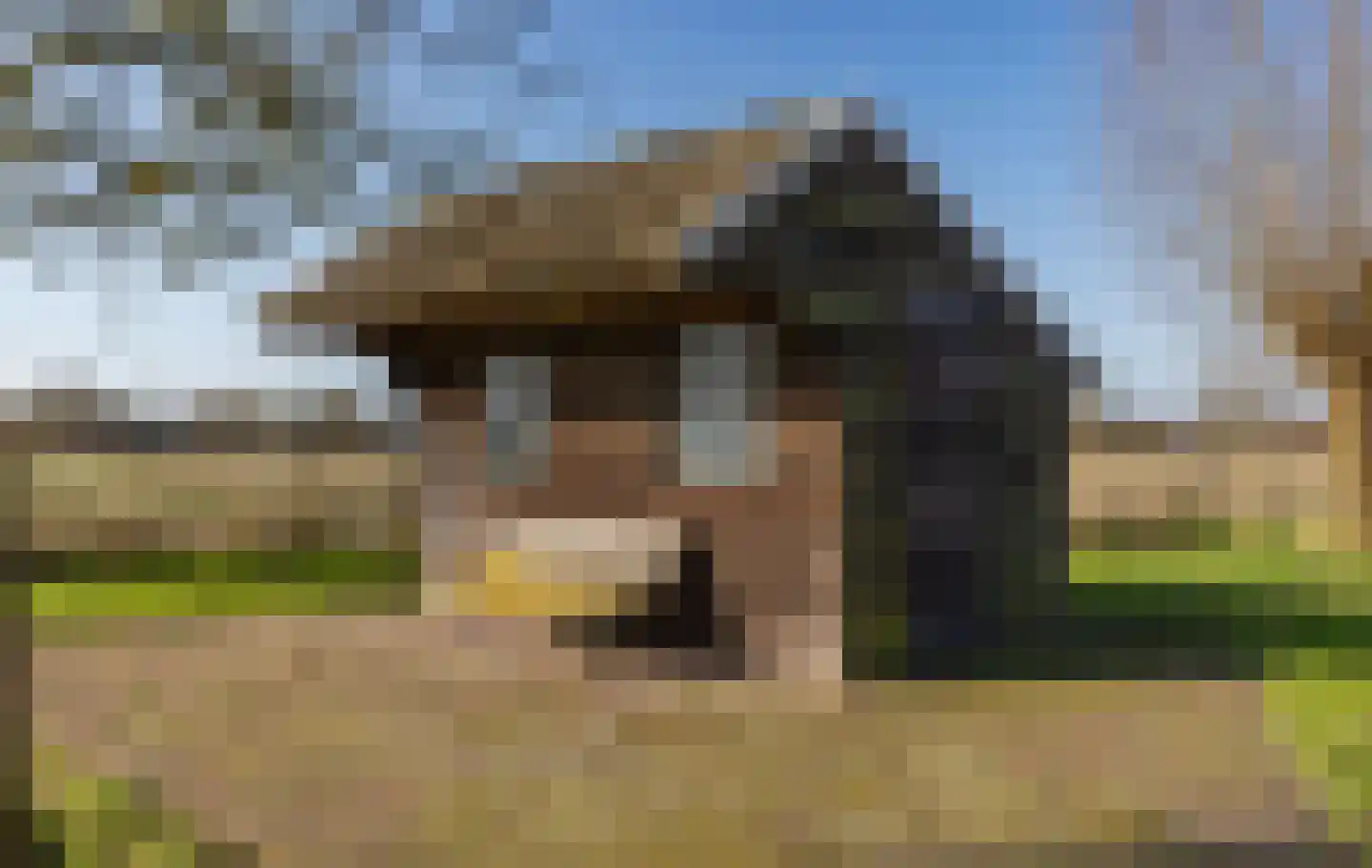 Sturriskolkweg 16 Varsseveld thumbnail 40