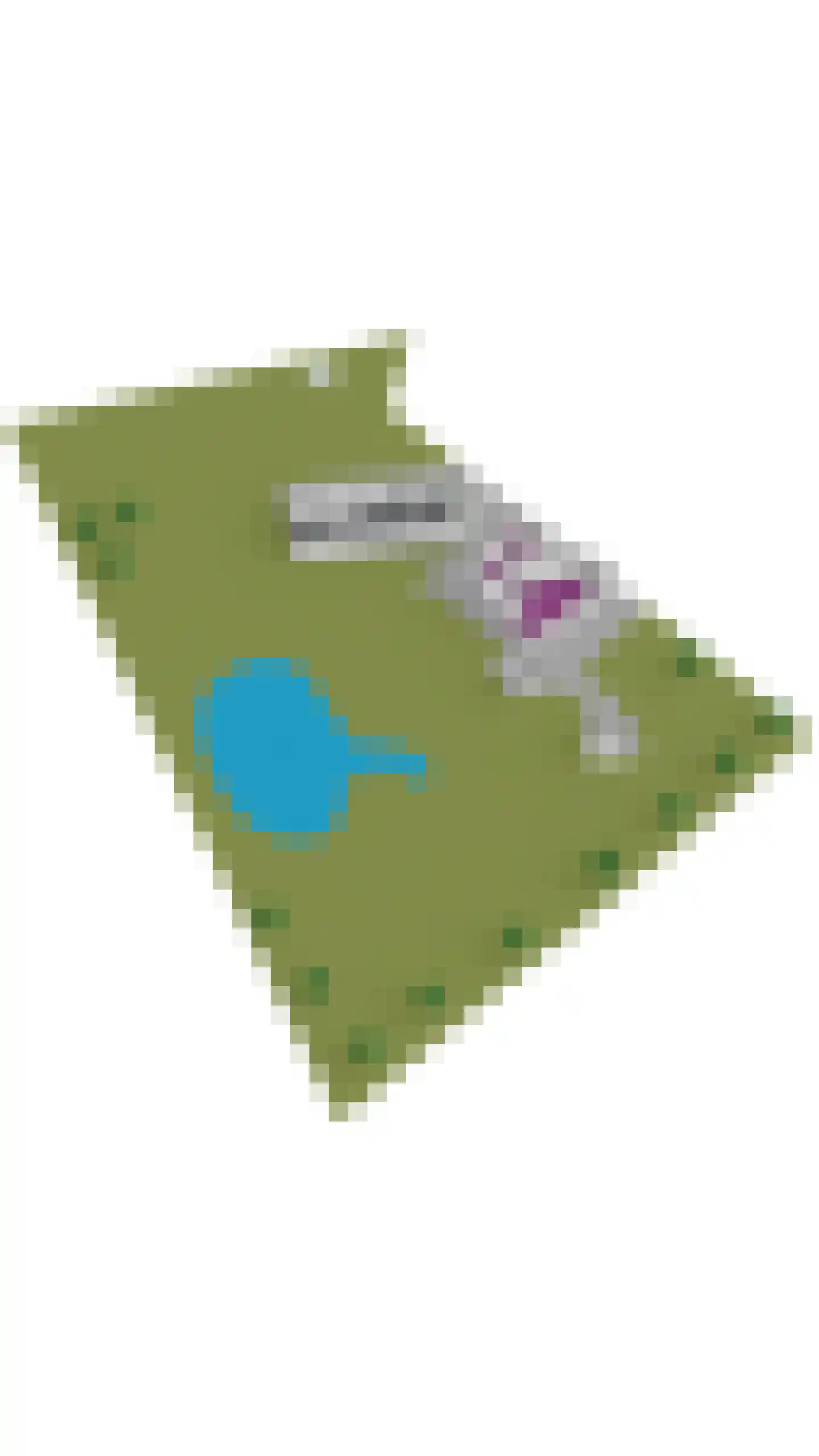 Sturriskolkweg 16 Varsseveld thumbnail 52