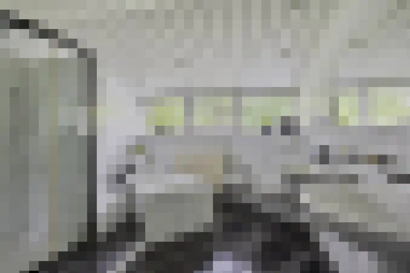 Stuthoflanden 5 Enschede thumbnail 34