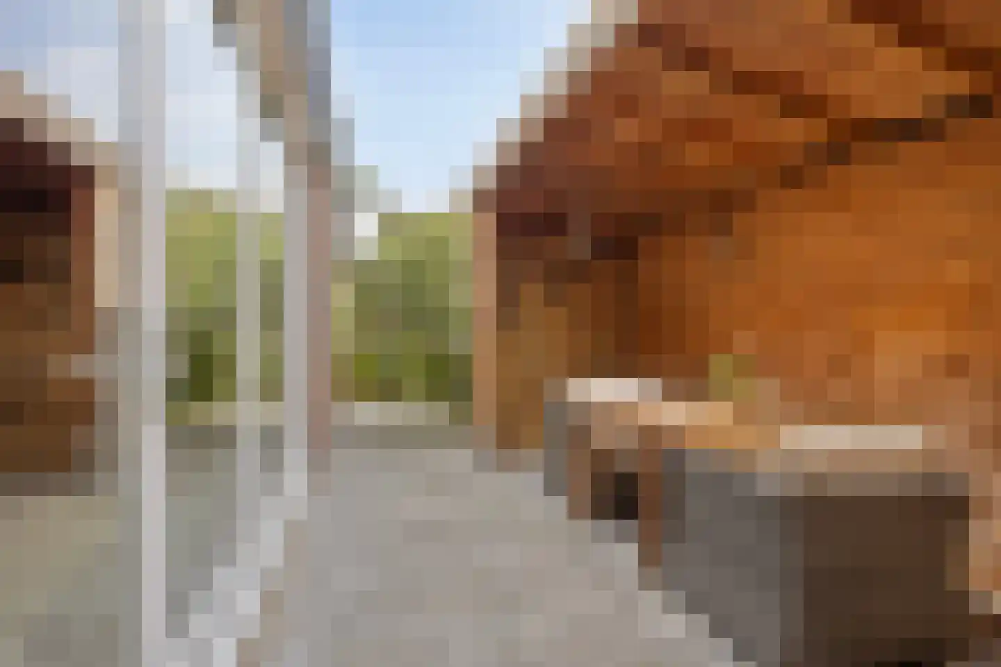 Stuthoflanden 5 Enschede thumbnail 44